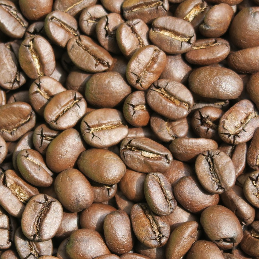 自家焙煎 ブラジル～ダテーラ農園～