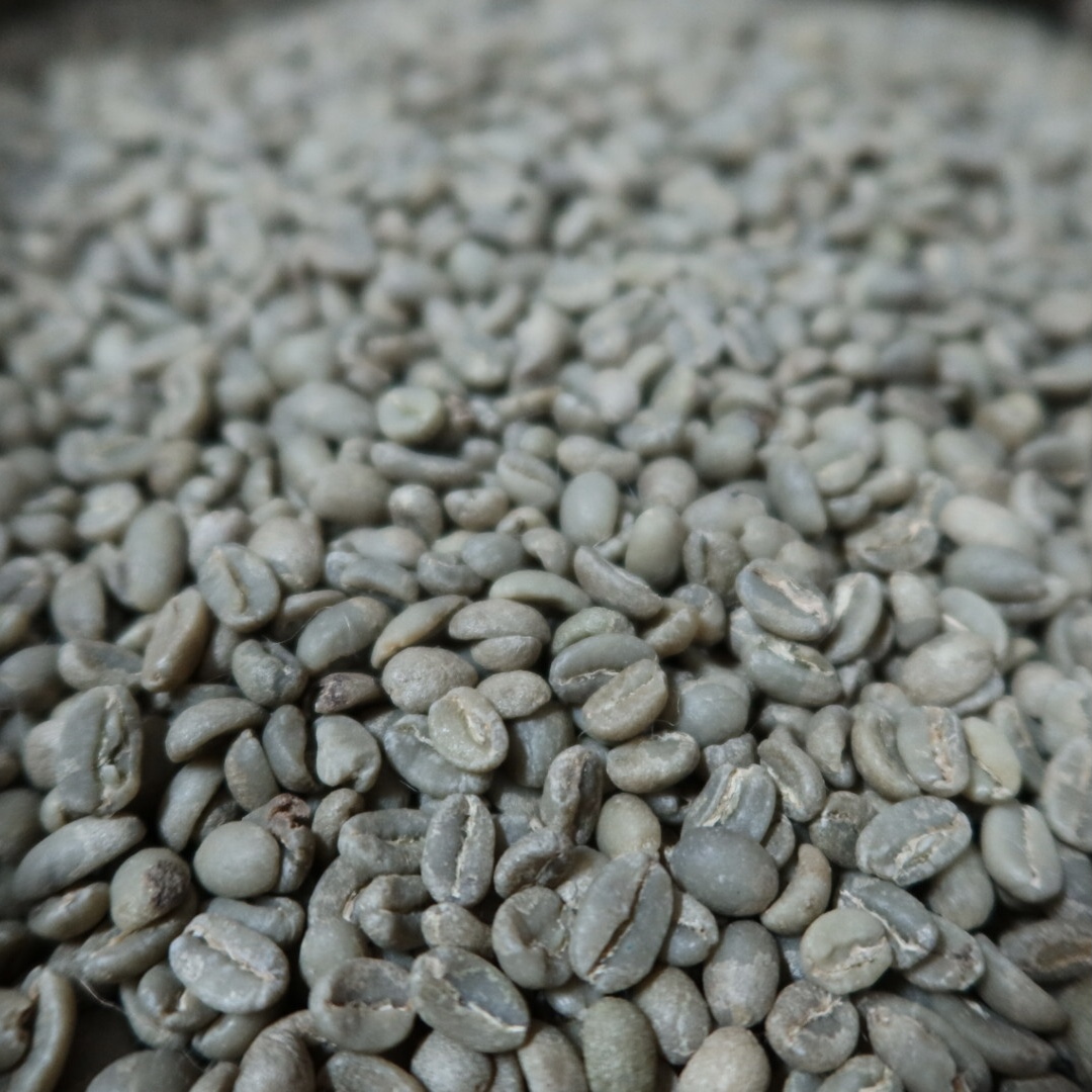 エチオピア・モカ～イルガチェフェ・オロミヤ農協～ 生豆