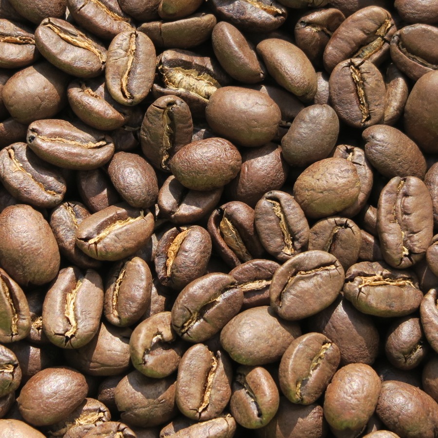 エチオピア・モカ～イルガチェフェ・オロミヤ農協～ 自家焙煎