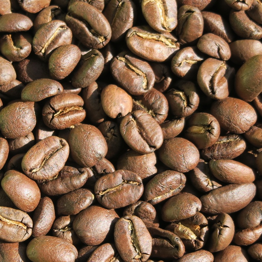 ガテマラ(アルト・デ・メディナ農園) 自家焙煎