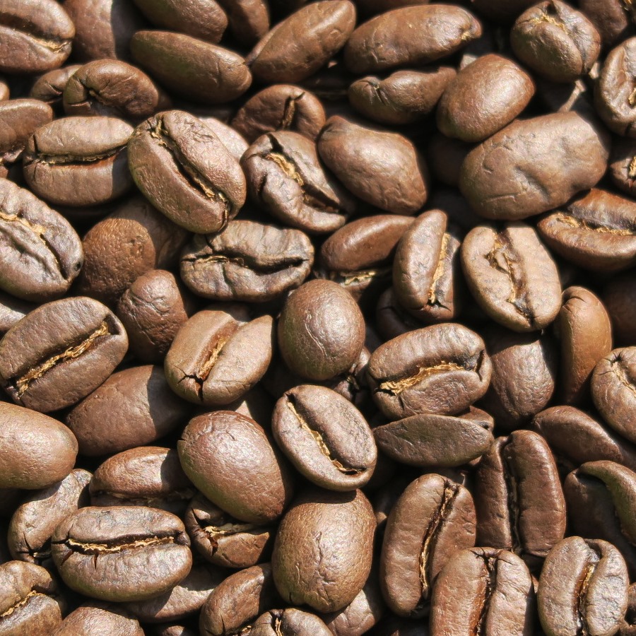 コロンビア・マグダレナ・スプレモ 自家焙煎