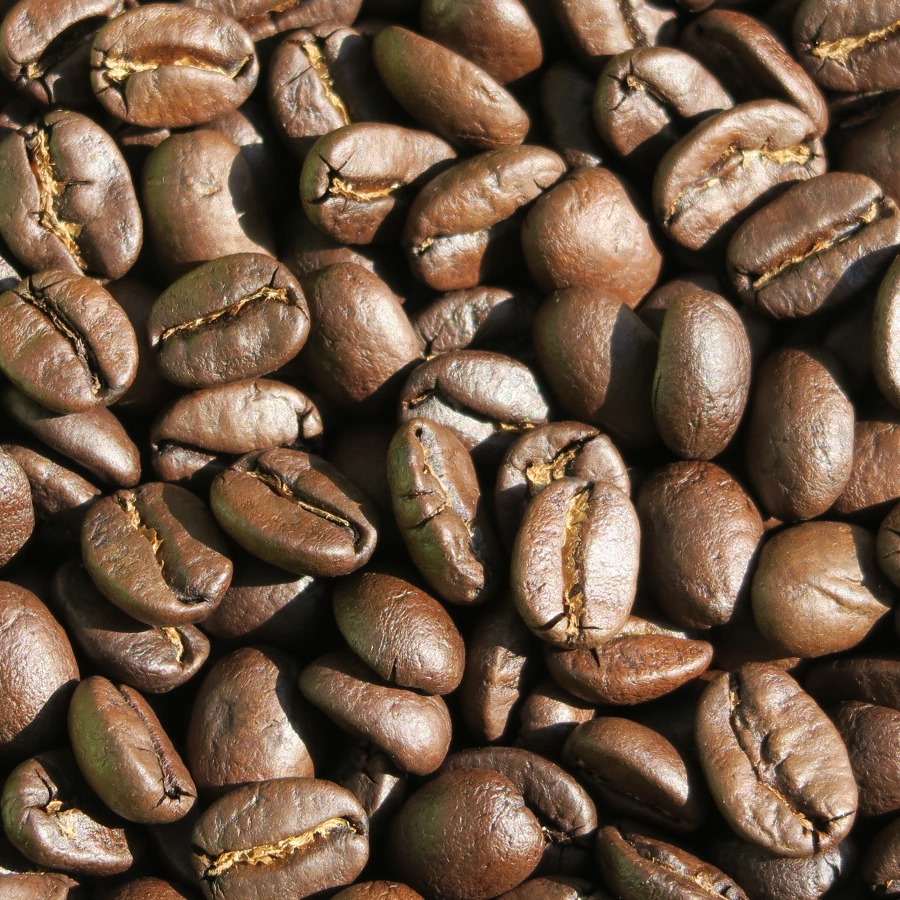 キリマンジャロ～エーデルワイス農園～ 自家焙煎