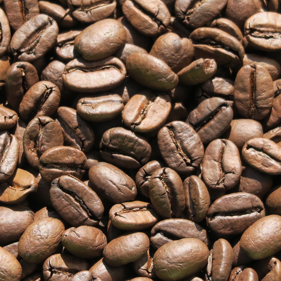 ガテマラ(フルシティ・ロースト) 自家焙煎