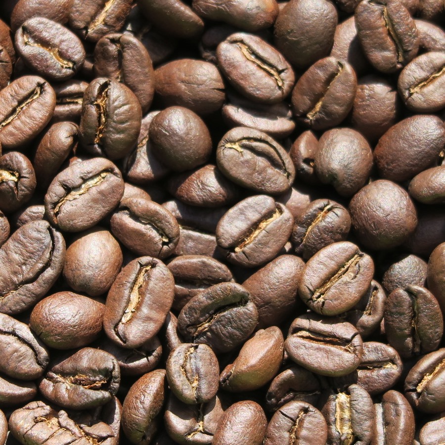 パプアニューギニア～トロピカルマウンテン～ 自家焙煎