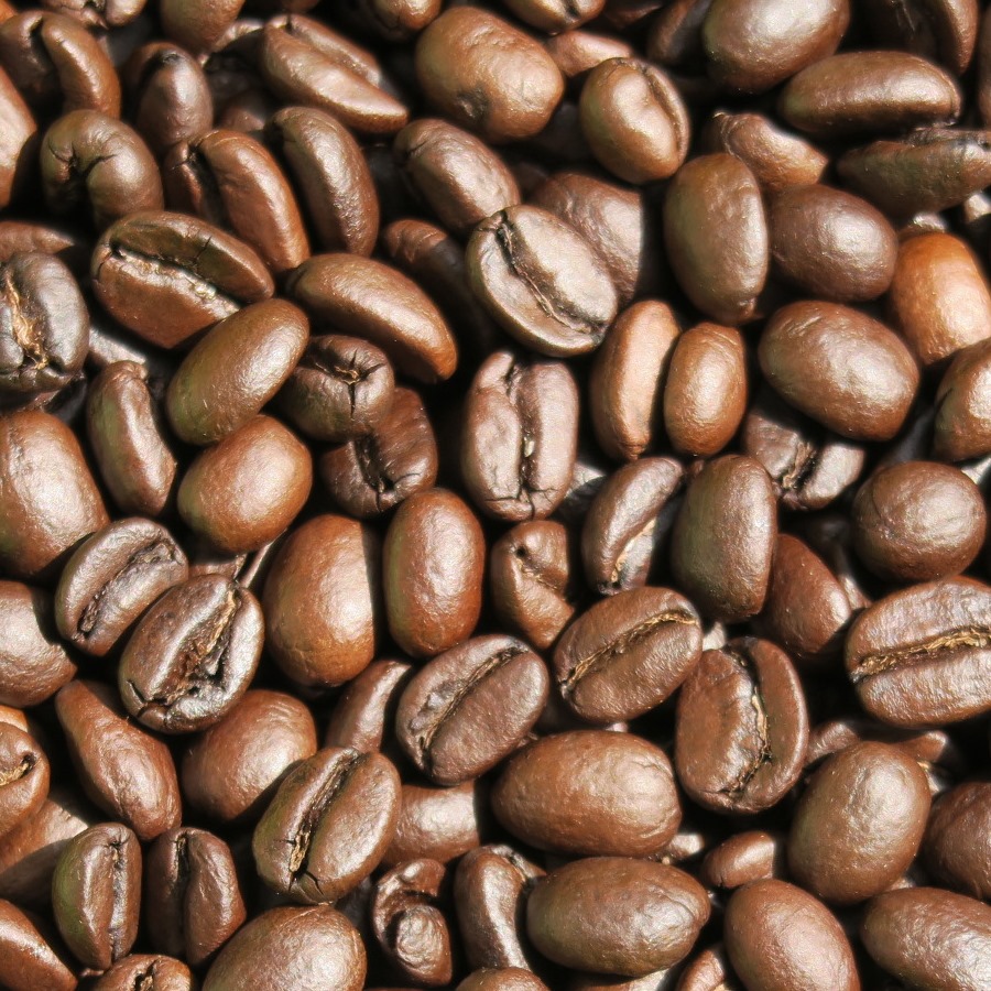 ナテュラル・モカ～イルガチェフェ・コンガG1～ 自家焙煎