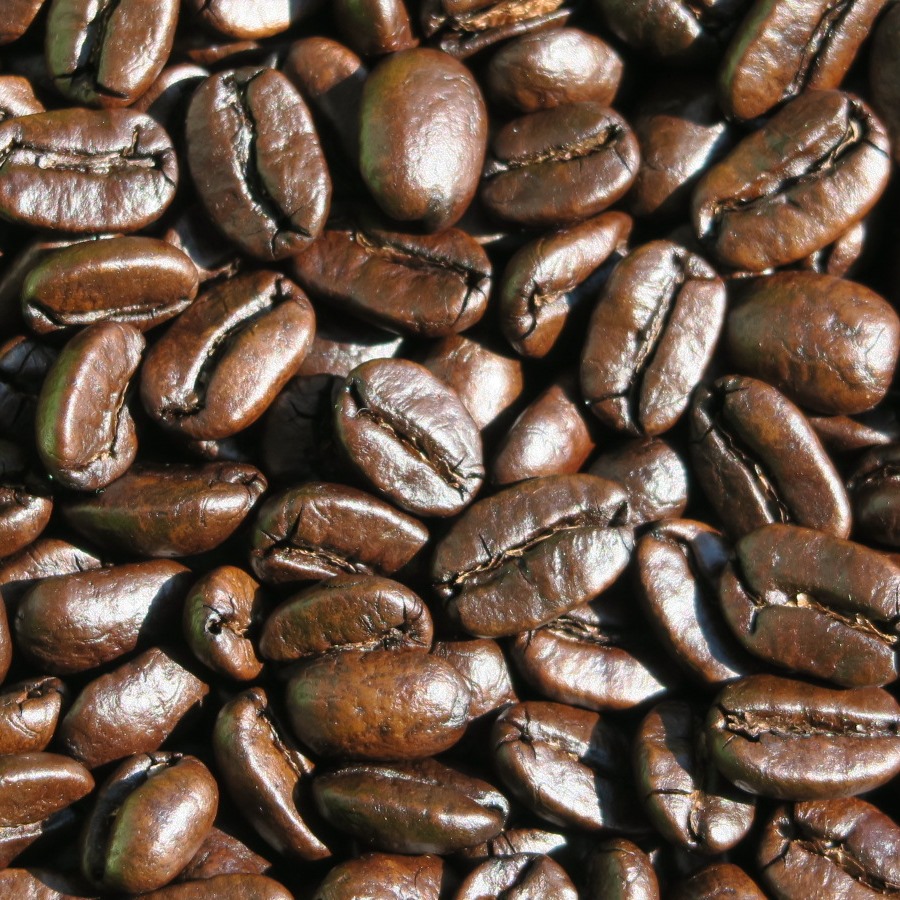 マンデリン(トバコ) 自家焙煎珈琲