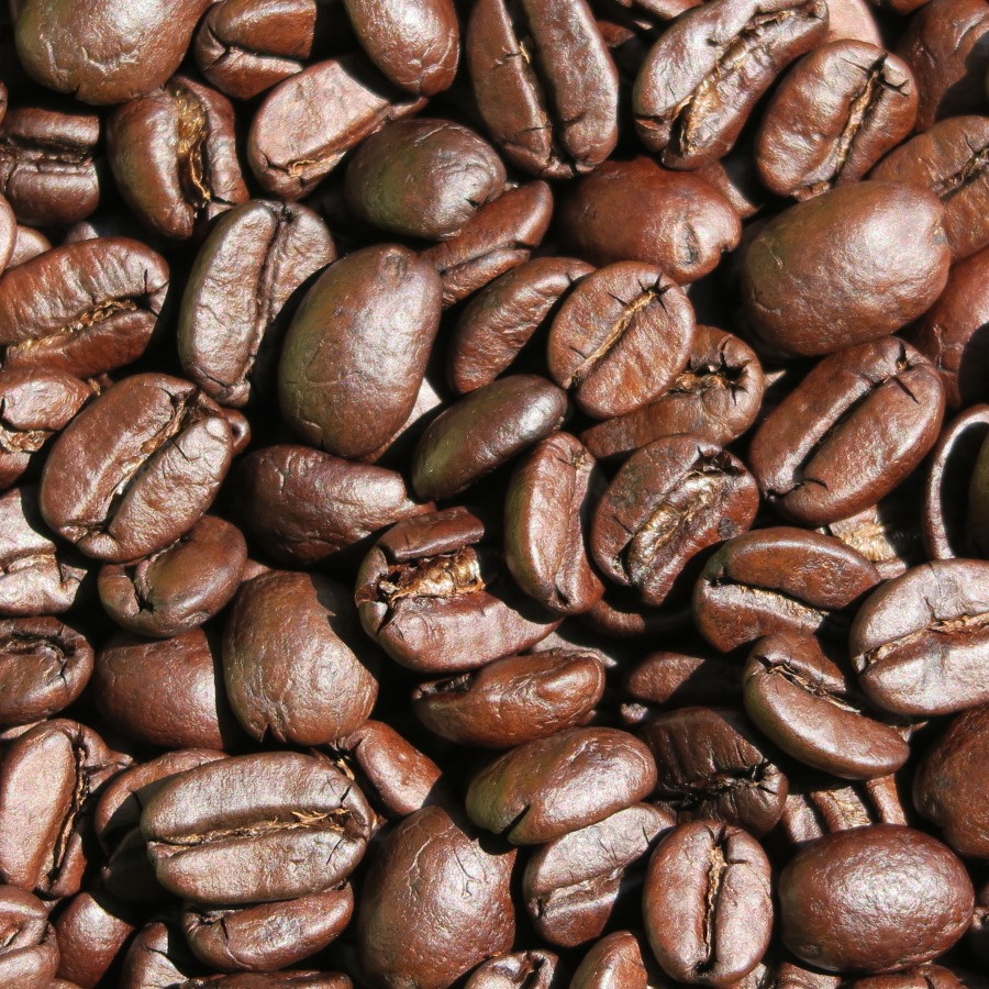 メキシコ・デカフェ(チアパス・カフェインレス) 自家焙煎