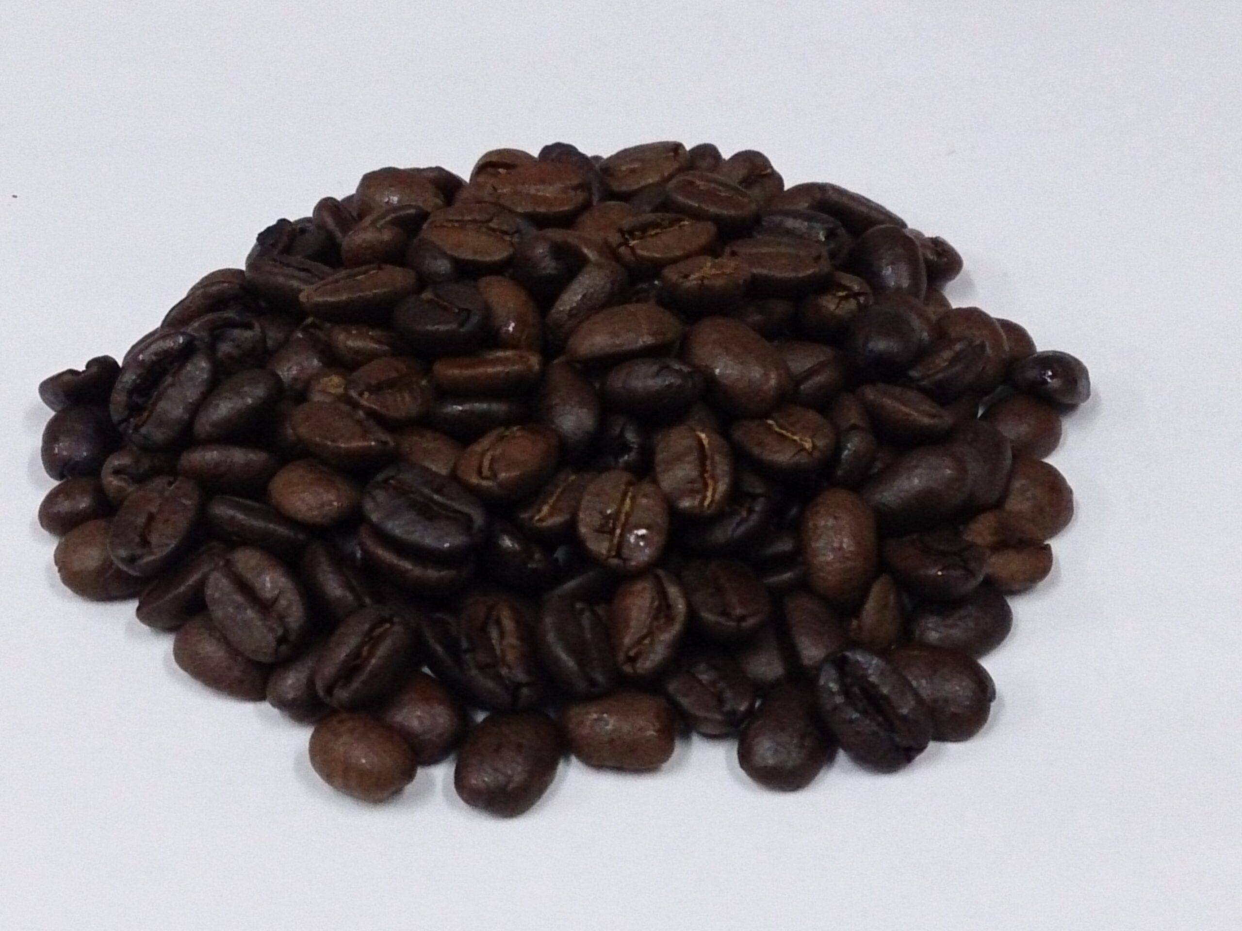 半田 自家焙煎珈琲 半田運河ブレンド